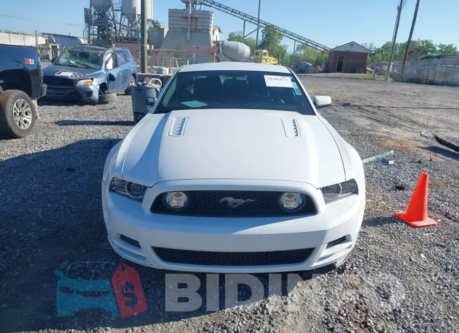 1ZVBP8CF6E5281277 Photo# 13