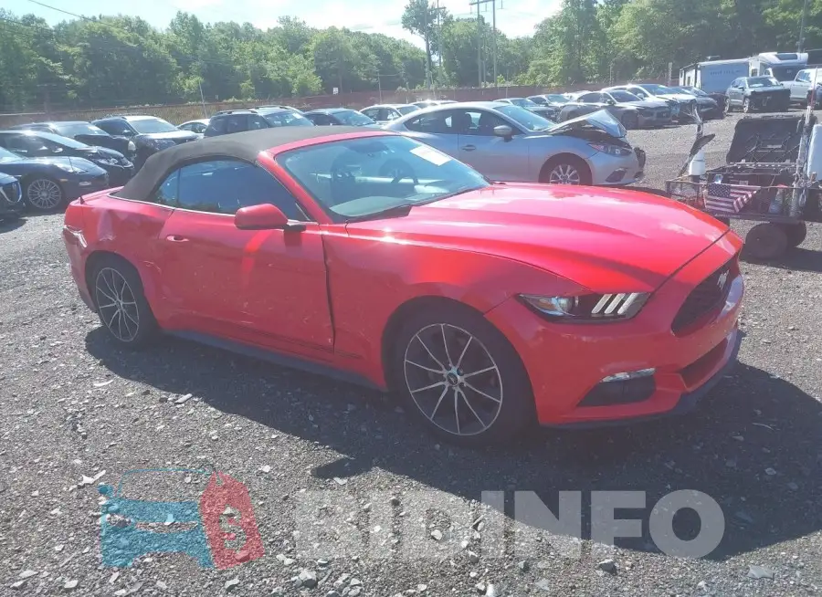 1FATP8UH0G5319117 Photo# 1