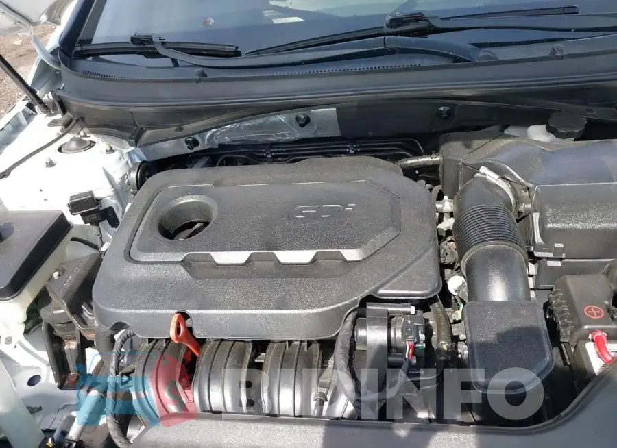 5NPE24AF5FH203164 Photo# 10