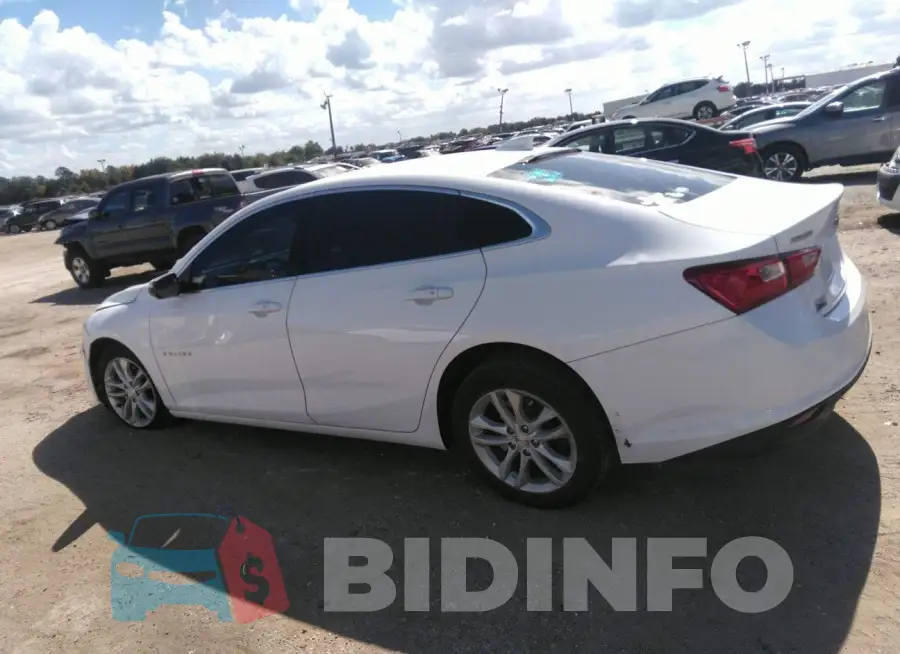 1G1ZD5ST5JF212433 Photo# 13