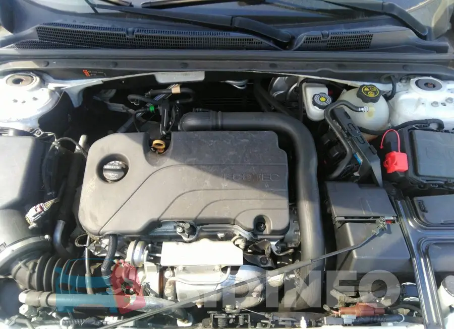 1G1ZD5ST5JF212433 Photo# 10
