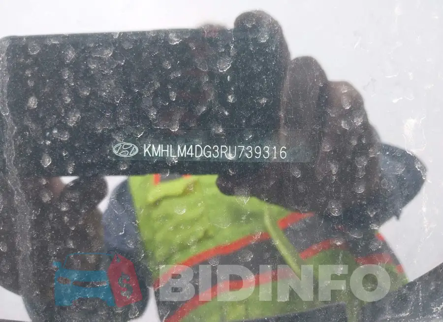 KMHLM4DG3RU739316 Photo# 9