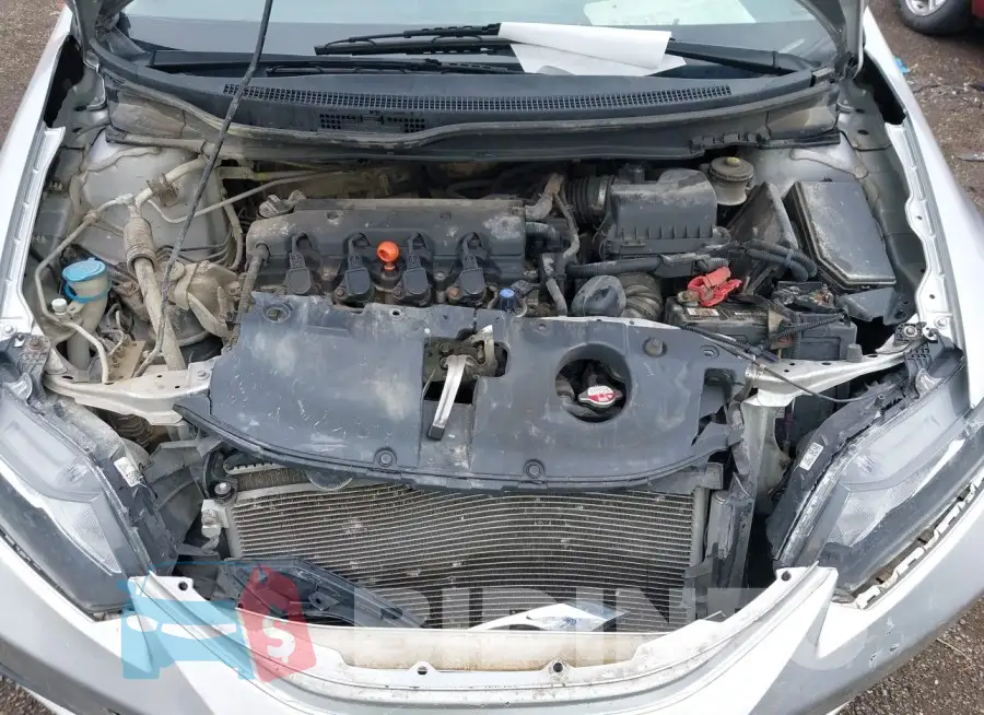 19XFB2F53FE018446 Photo# 10