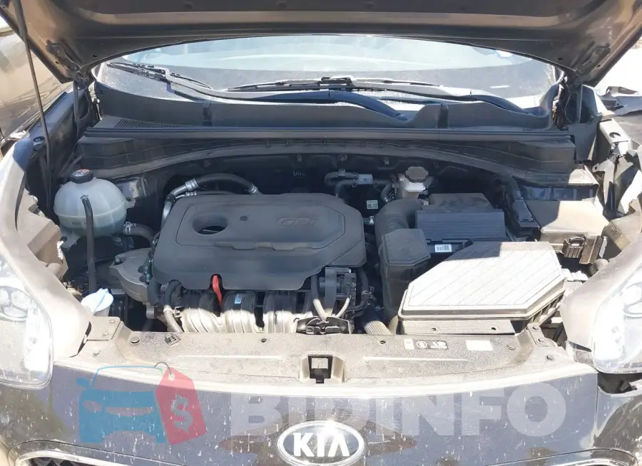 KNDPM3AC2L7717637 Photo# 10