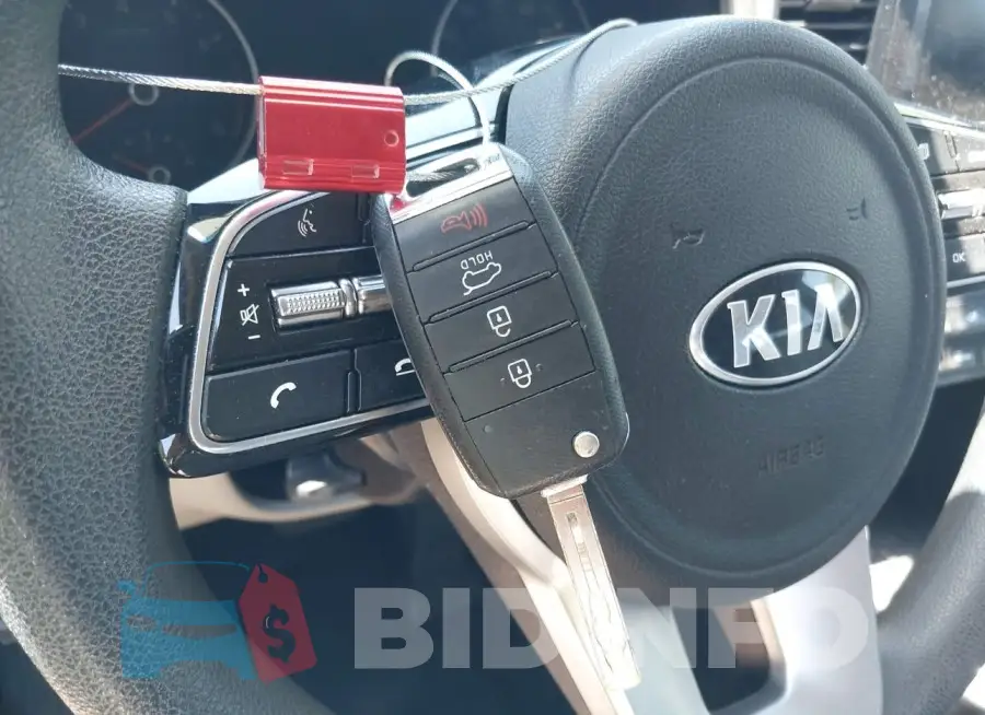 KNDPM3AC2L7717637 Photo# 11