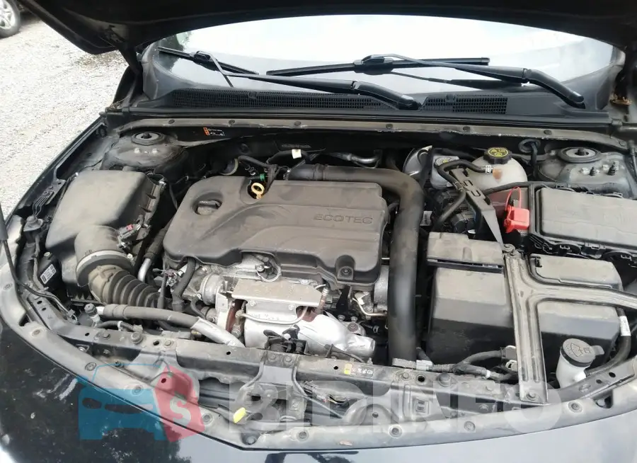 1G1ZD5ST4MF053389 Photo# 10