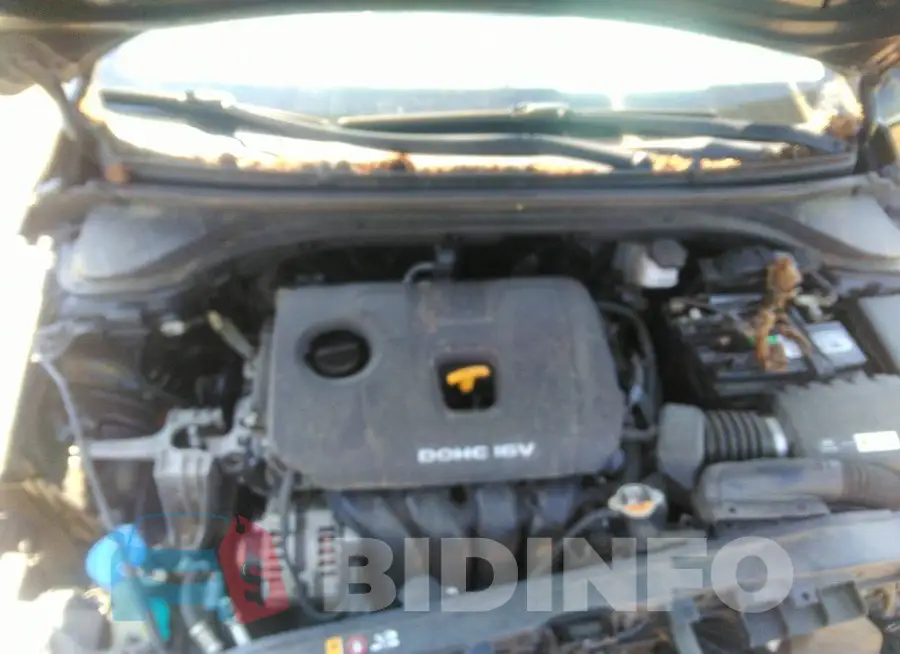 KMHD74LF2HU098078 Photo# 10