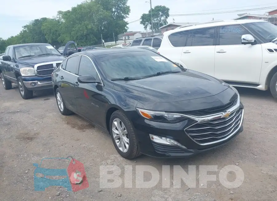 1G1ZD5ST1KF181893 Photo# 13