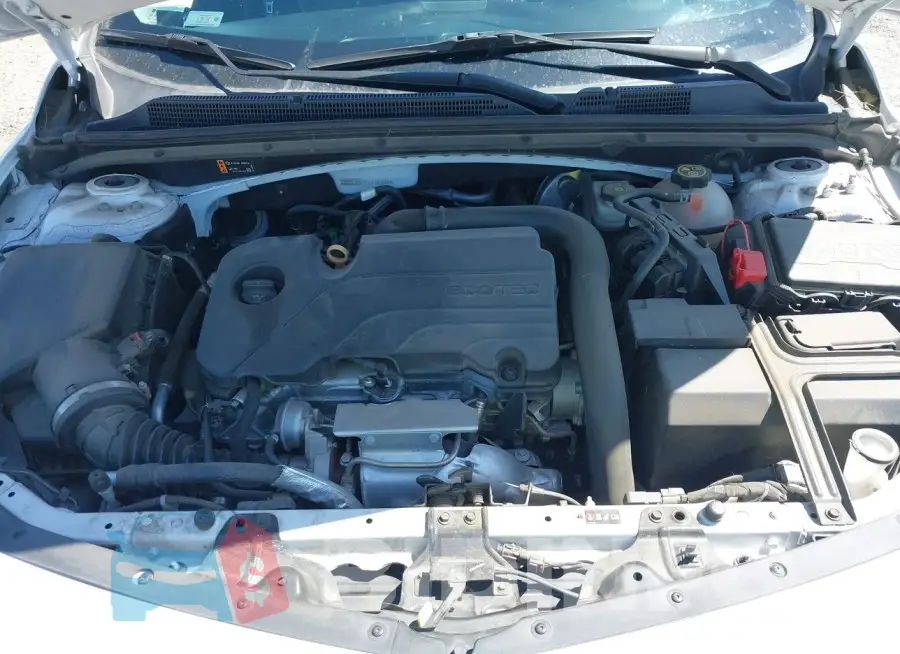 1G1ZD5ST1LF123767 Photo# 10
