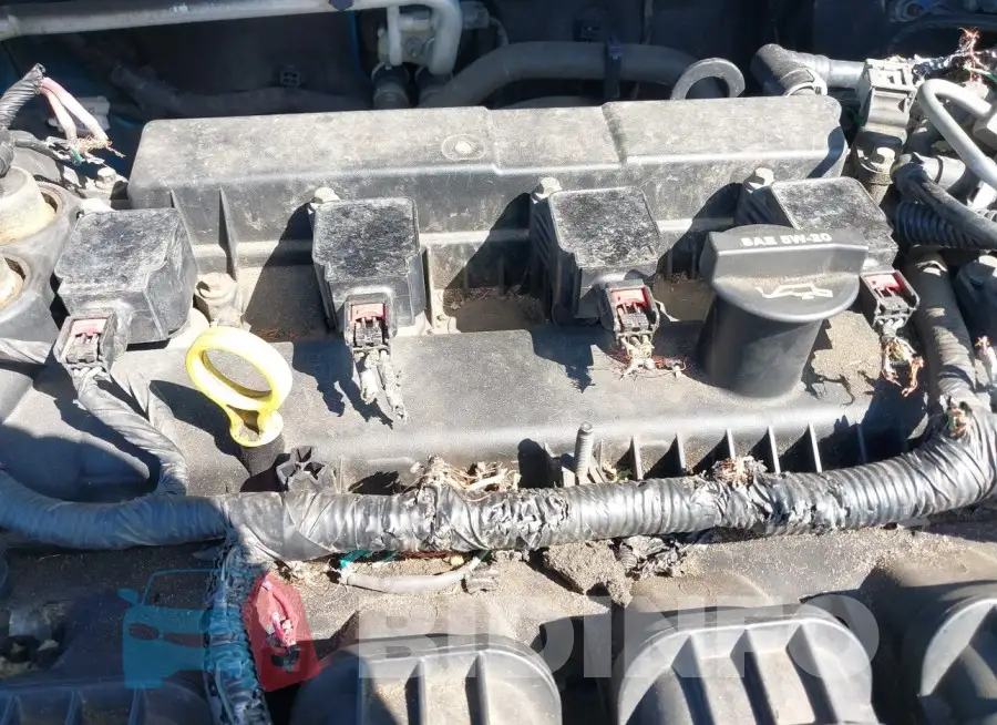 1FADP3K22EL359245 Photo# 6