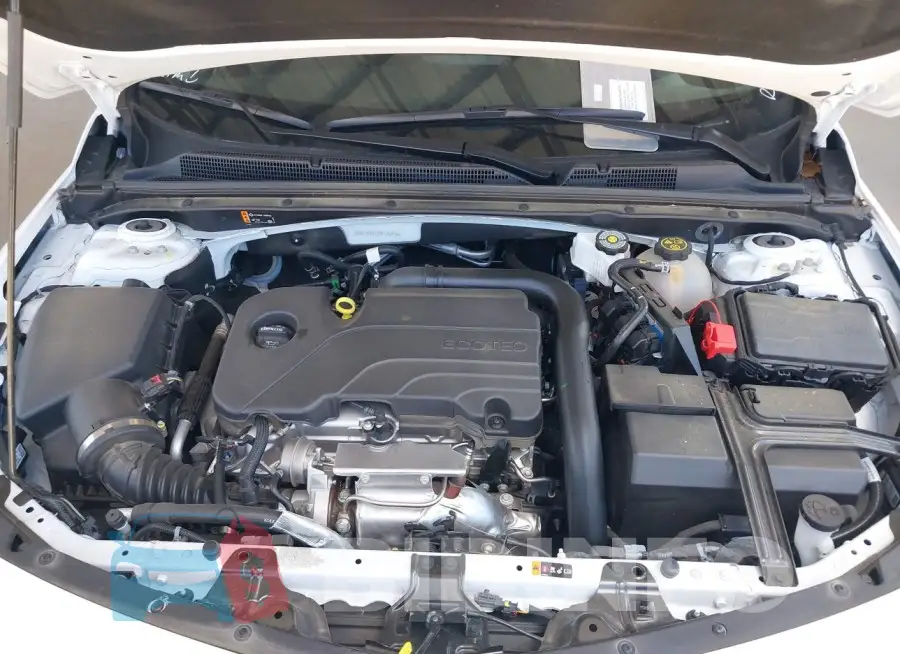 1G1ZD5ST2RF126458 Photo# 10