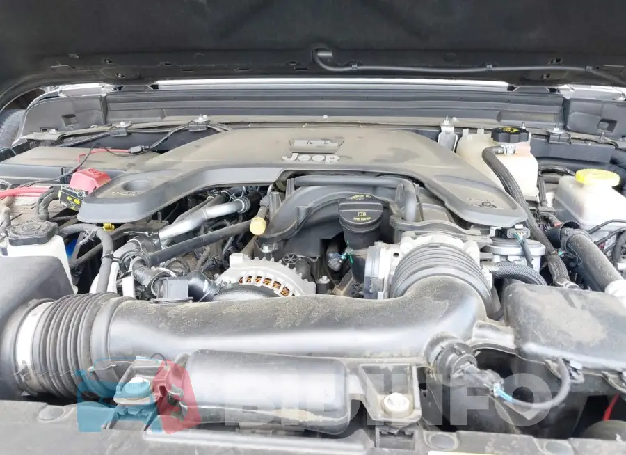 1C4HJXDG6KW610839 Photo# 10