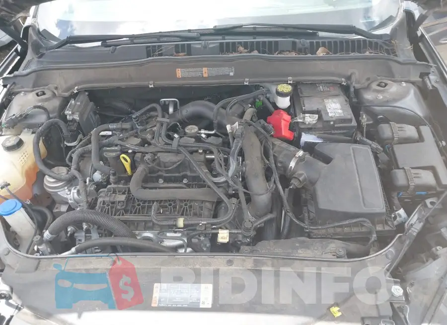 3FA6P0HDXLR226506 Photo# 10