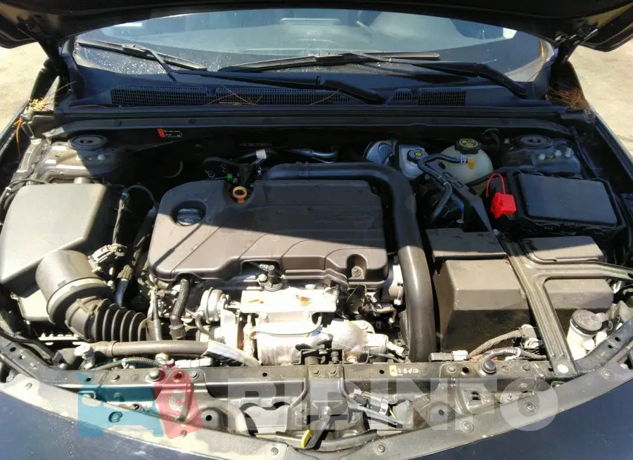 1G1ZD5ST2JF269317 Photo# 10