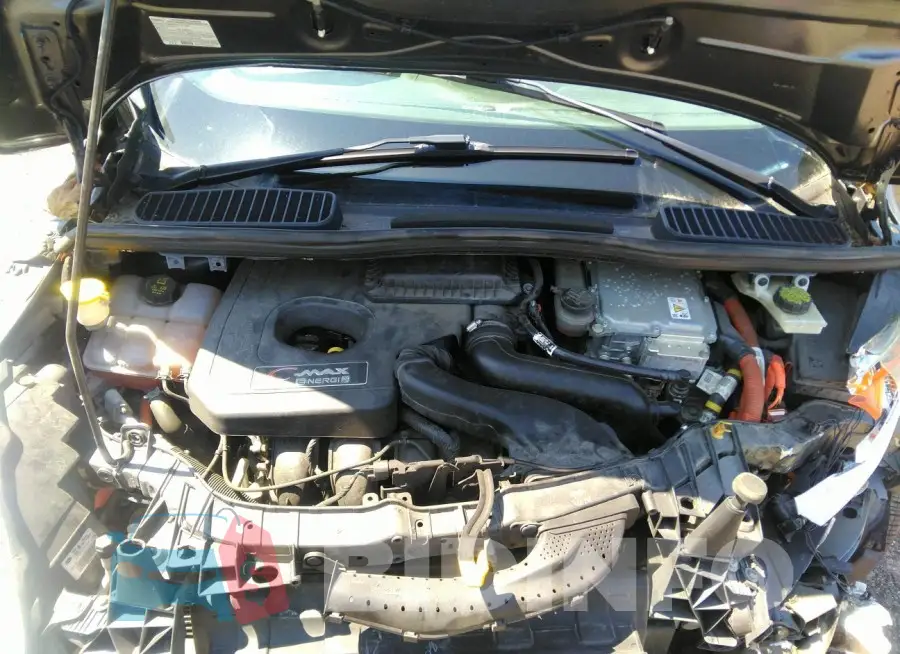 1FADP5CU9FL110020 Photo# 10