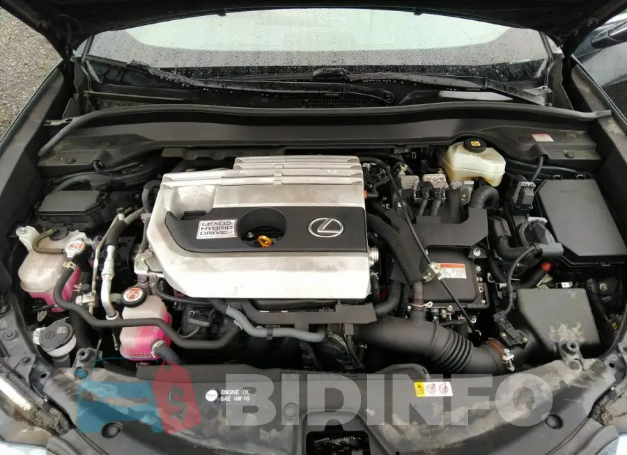 JTHP9JBH4M2044539 Photo# 10