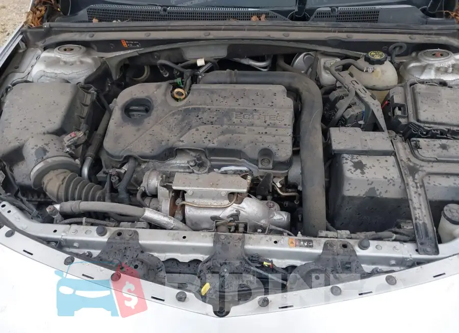 1G1ZD5ST4LF002490 Photo# 10