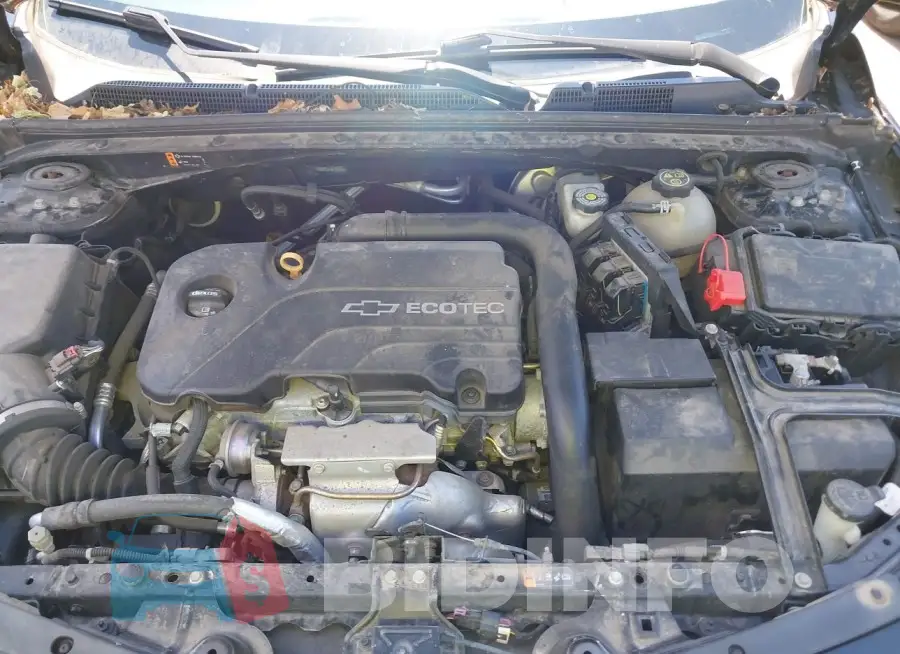 1G1ZE5ST5HF106796 Photo# 10