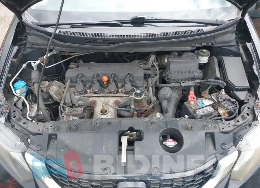 19XFB2F85FE261637 Photo# 10