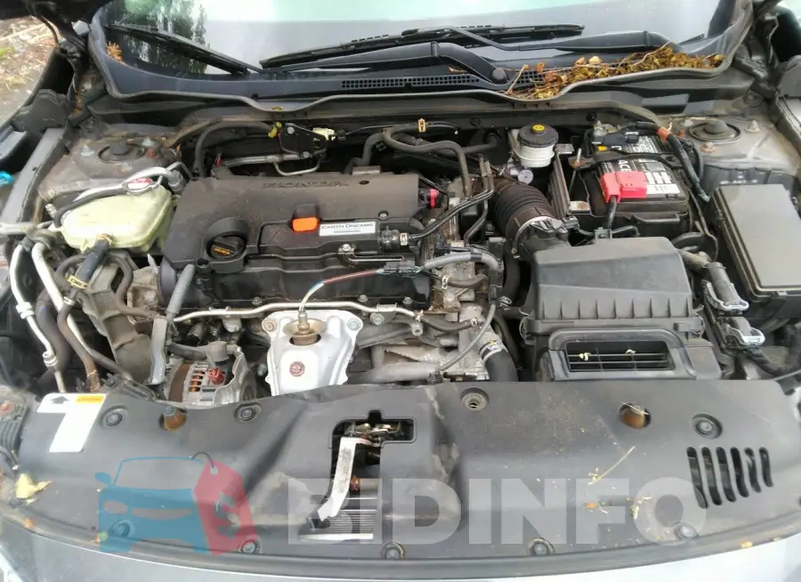 19XFC2F50GE235435 Photo# 10