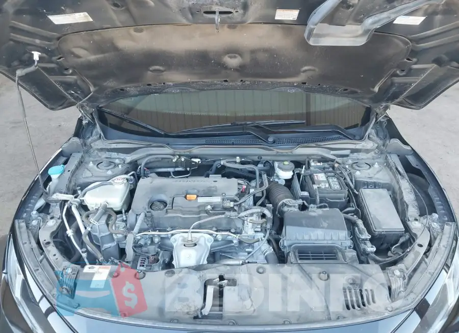 19XFC2F66LE209733 Photo# 10