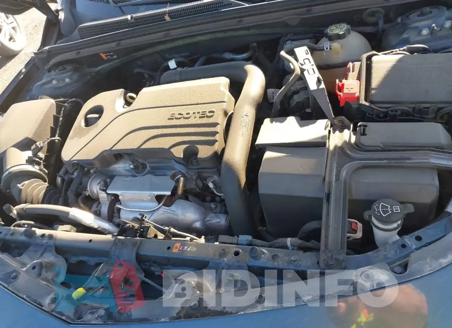 1G1ZD5ST5LF069499 Photo# 10