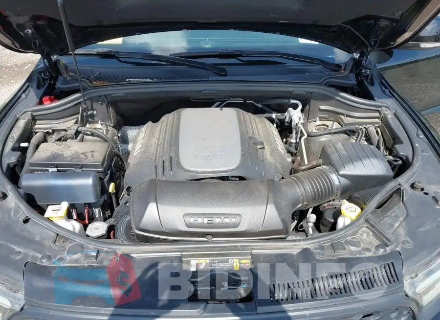 1C4SDJCT6NC211203 Photo# 10