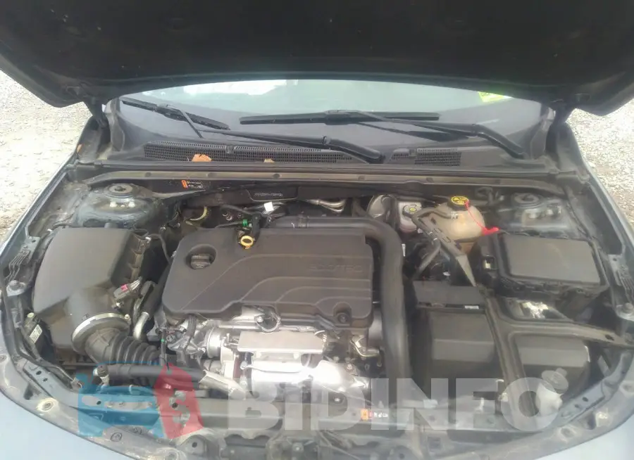 1G1ZD5ST6LF084402 Photo# 10