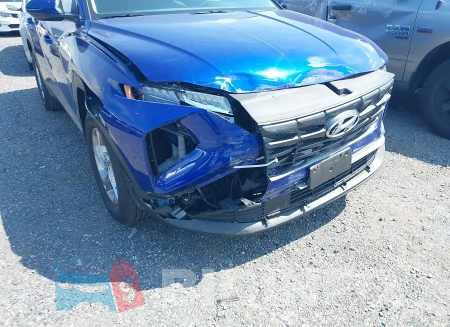 5NMJACDE2RH295785 Photo# 6