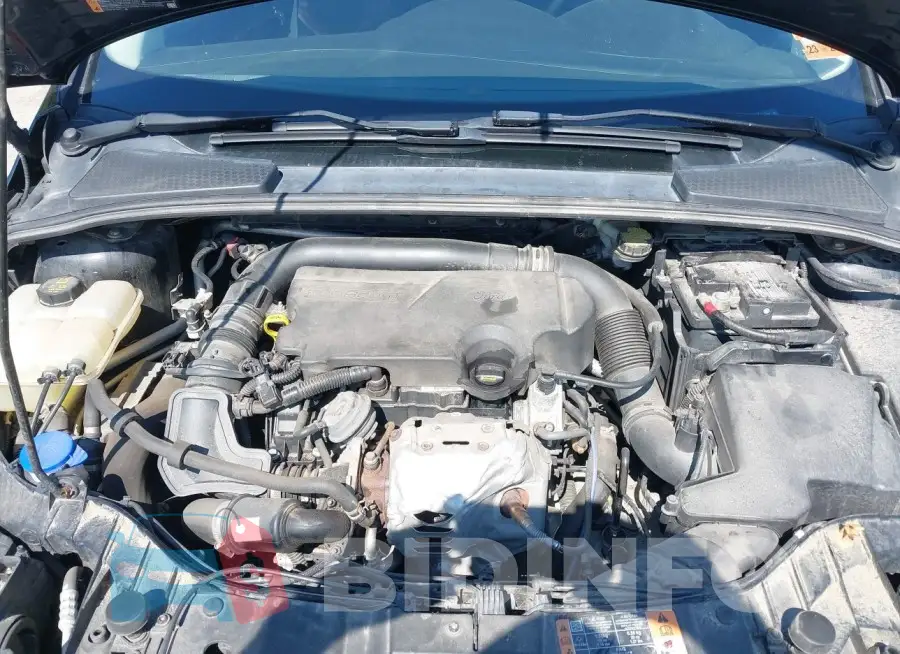 1FADP3FE0GL292152 Photo# 10