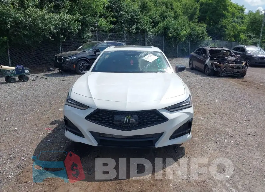 19UUB6F52PA003473 Photo# 6