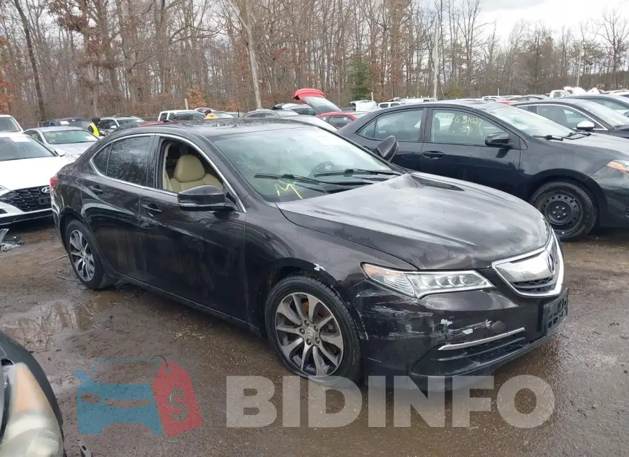 19UUB1F32FA001402 Photo# 1