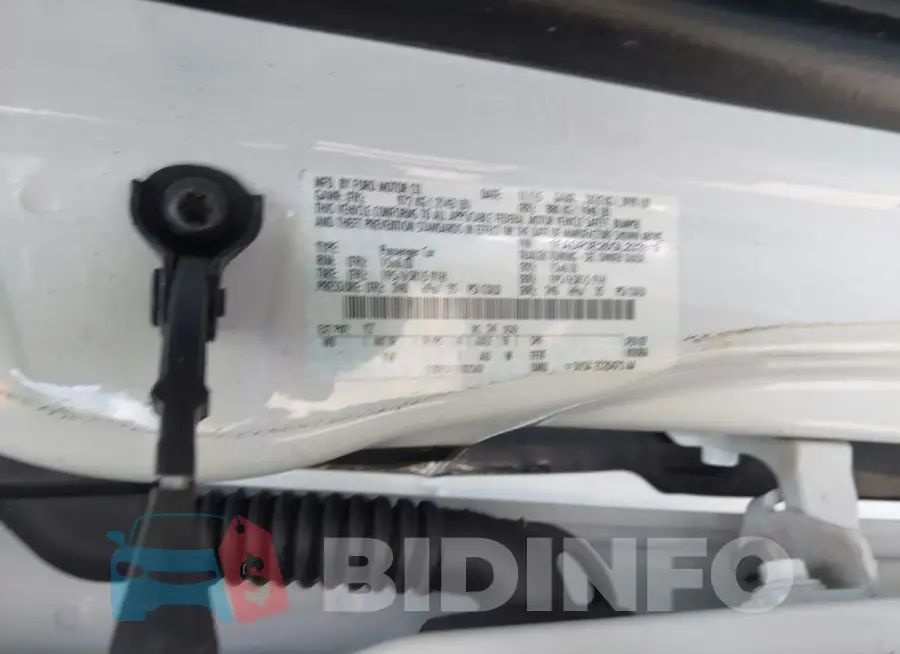 1FADP3E26GL232819 Photo# 9