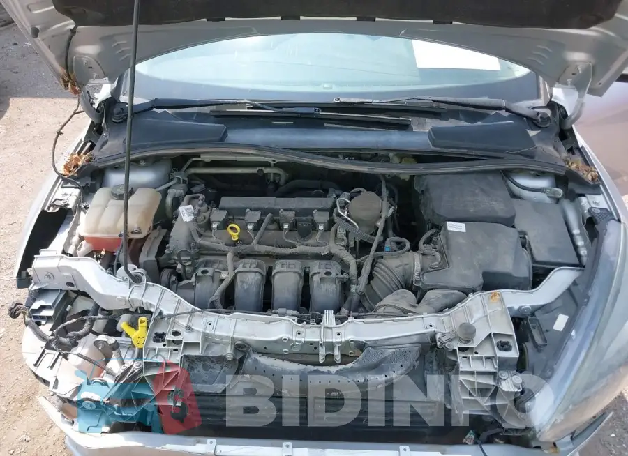 1FADP3F29GL311853 Photo# 10