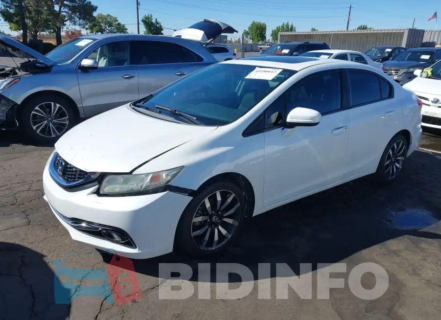 19XFB2F99FE217777 Photo# 2