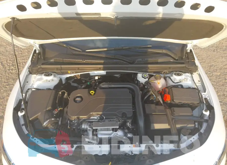 1G1ZD5ST7RF227026 Photo# 10