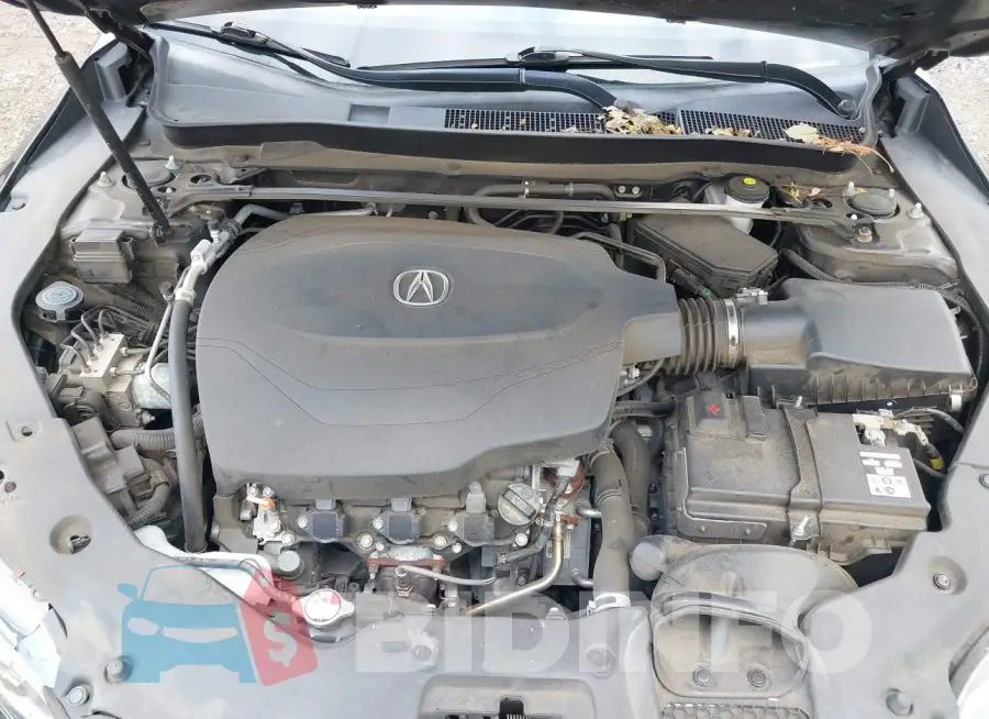 19UUB2F33GA010813 Photo# 10