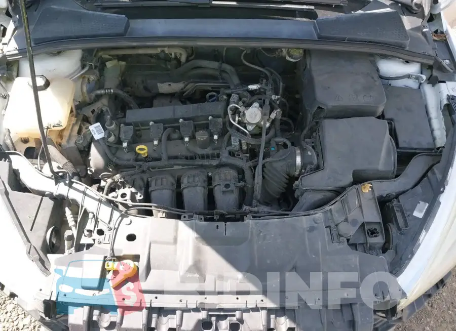 1FADP3E26GL372286 Photo# 10
