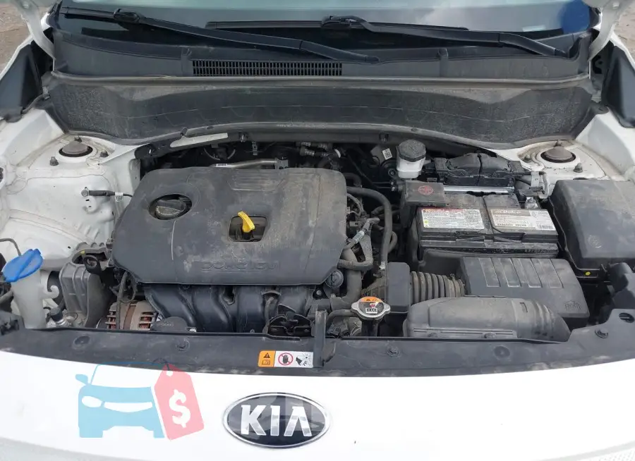 KNDEUCAA2M7186138 Photo# 10