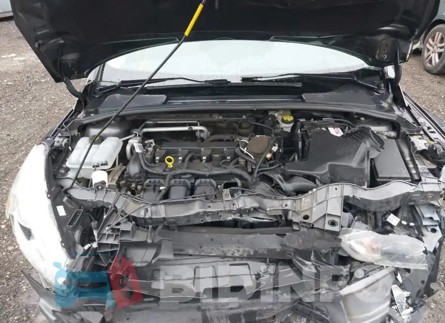 1FADP3F22GL250538 Photo# 10