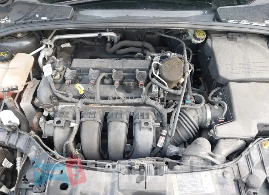 1FADP3F29FL204302 Photo# 10