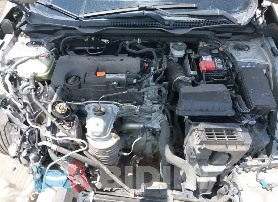 19XFC2F52GE000521 Photo# 10