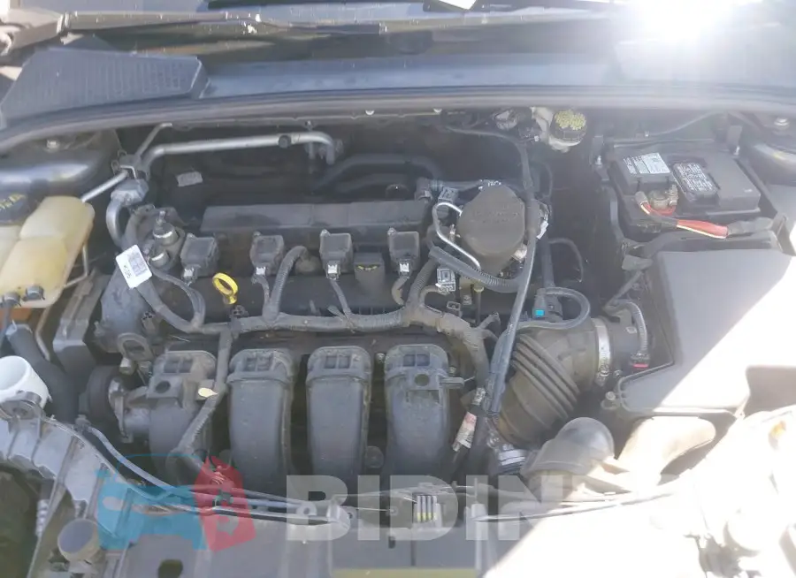 1FADP3F25FL300542 Photo# 10