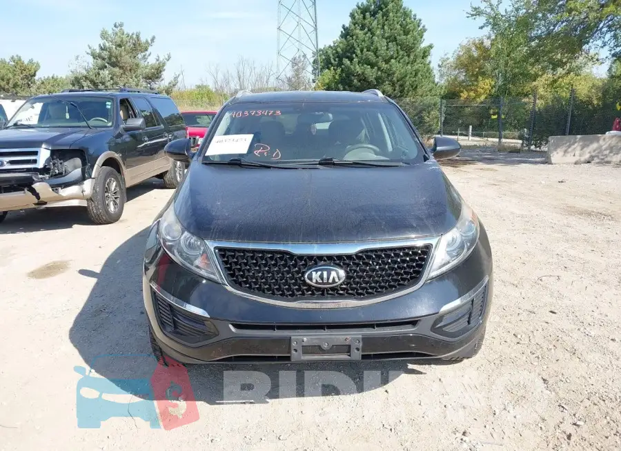 KNDPB3AC5G7811541 Photo# 12