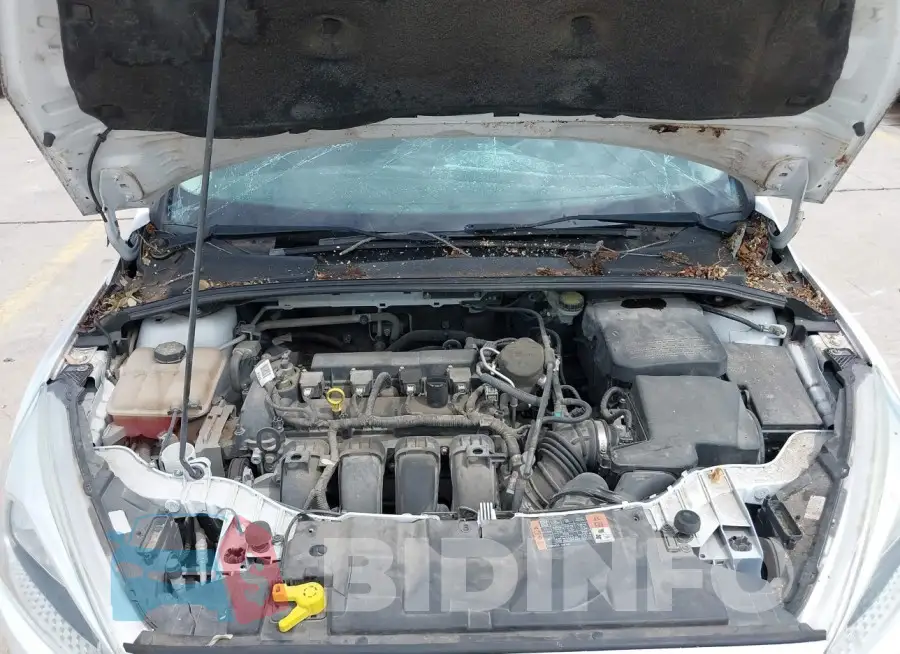 1FADP3K20FL288564 Photo# 10
