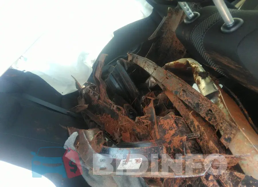 19XFC2F62LE002899 Photo# 8