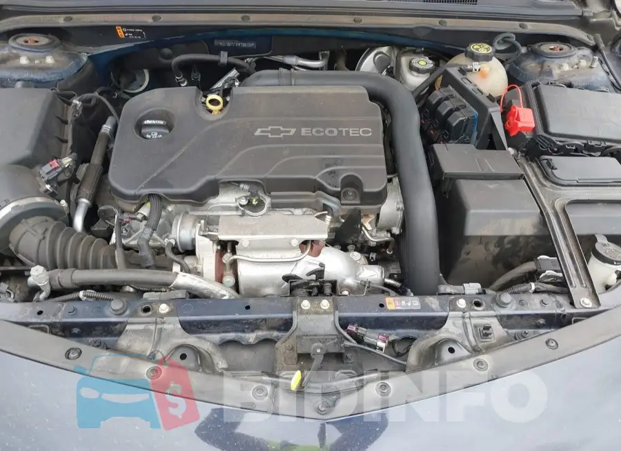 1G1ZB5ST6HF280126 Photo# 10