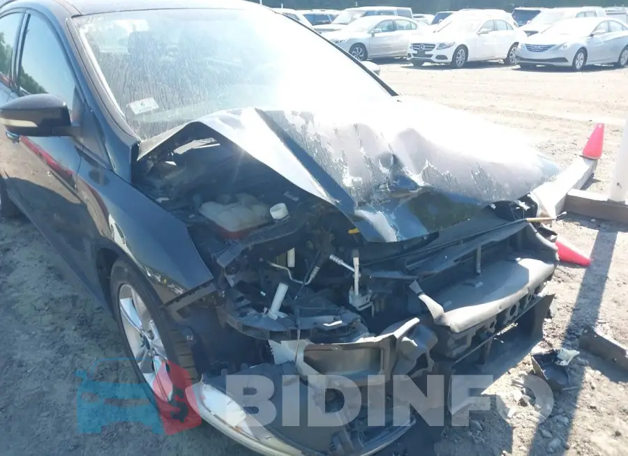 1FADP3F22EL344013 Photo# 6
