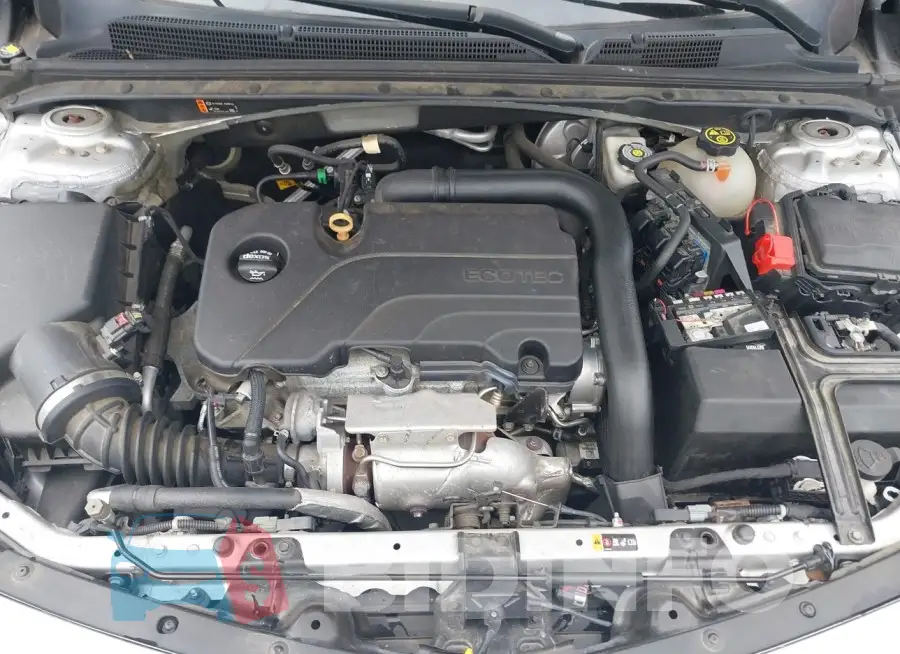 1G1ZD5ST8JF270102 Photo# 10