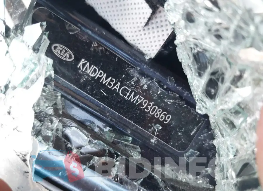 KNDPM3AC1M7930869 Photo# 9